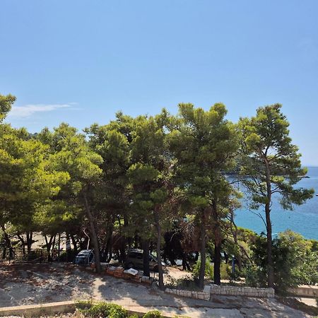 Apartment Kristic - Saplunara, Mljet Babino Polje Kültér fotó