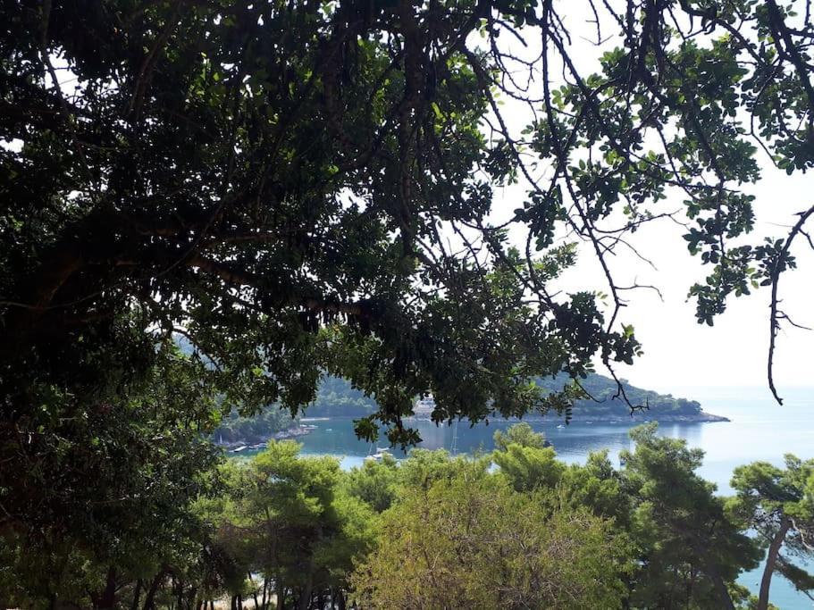 Apartment Kristic - Saplunara, Mljet Babino Polje Kültér fotó