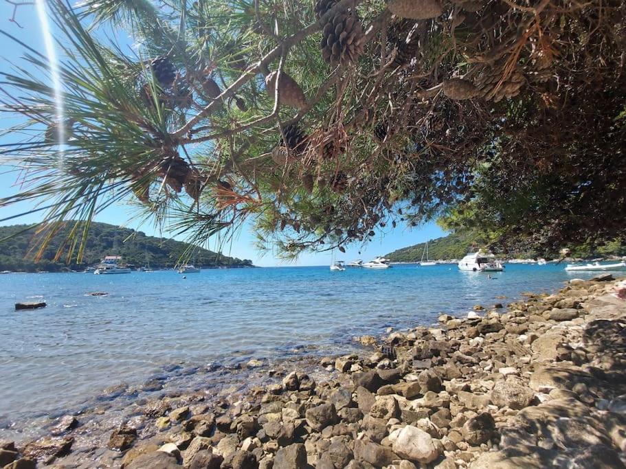 Apartment Kristic - Saplunara, Mljet Babino Polje Kültér fotó