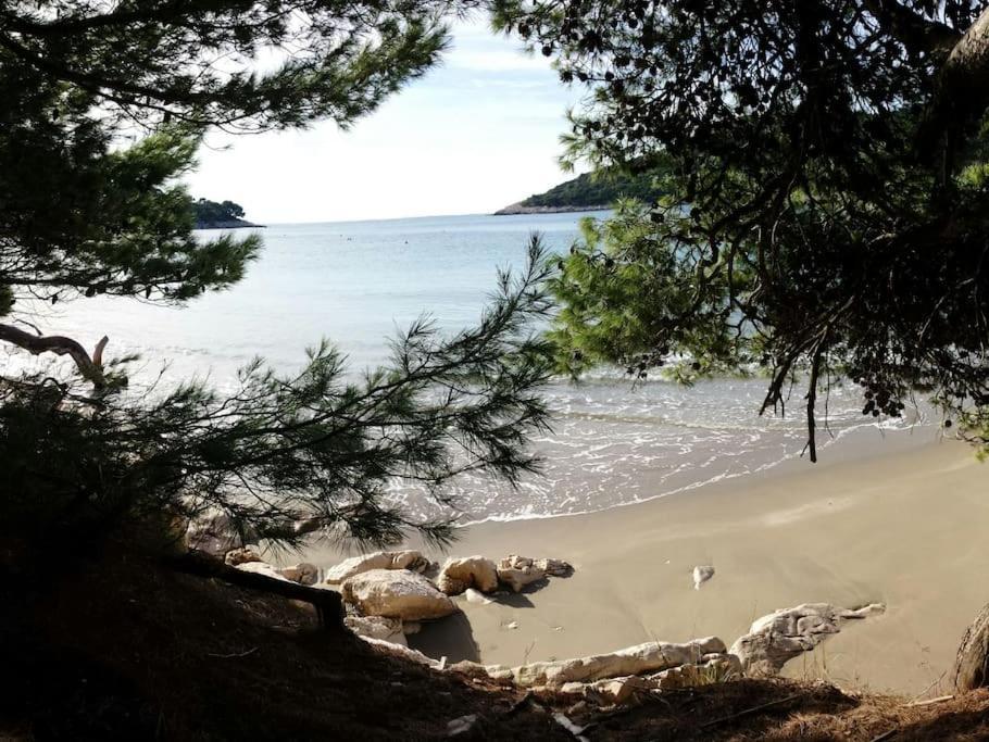 Apartment Kristic - Saplunara, Mljet Babino Polje Kültér fotó