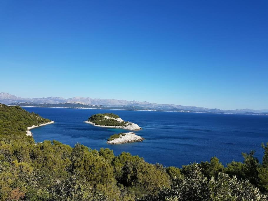 Apartment Kristic - Saplunara, Mljet Babino Polje Kültér fotó