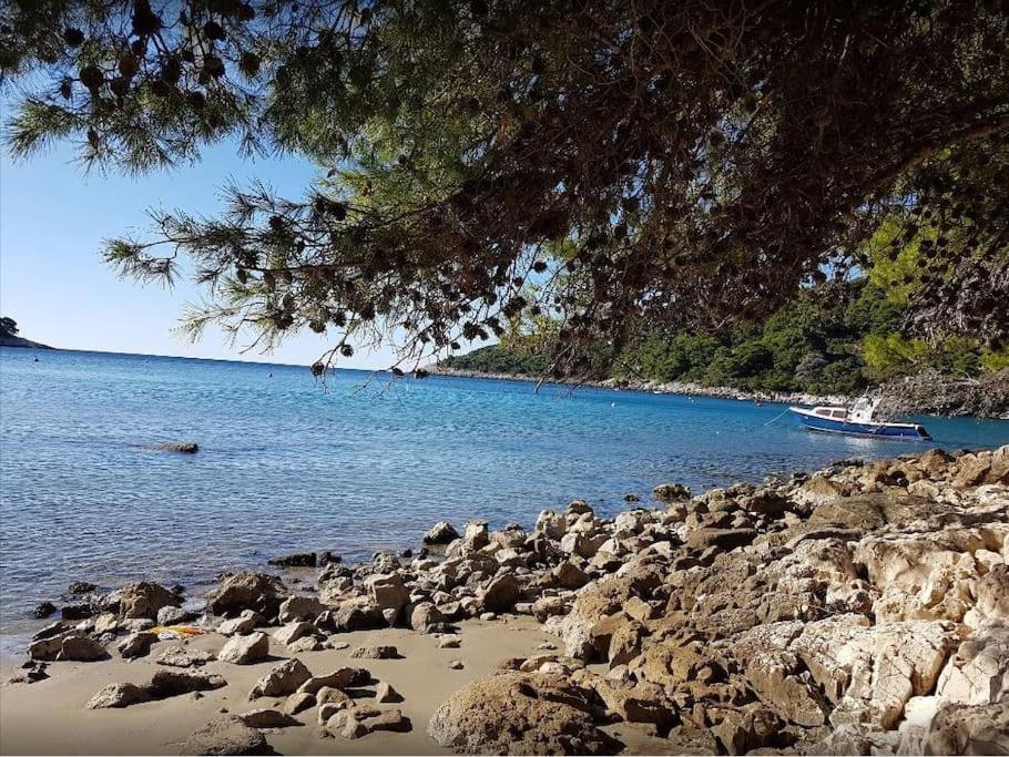Apartment Kristic - Saplunara, Mljet Babino Polje Kültér fotó
