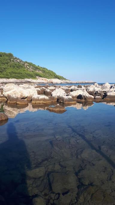 Apartment Kristic - Saplunara, Mljet Babino Polje Kültér fotó